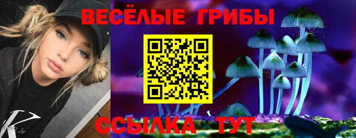 Псилоцибиновые грибы Cubensis  Галлюциногенные грибы мухоморы  Вход с VPN  Северобайкальск 